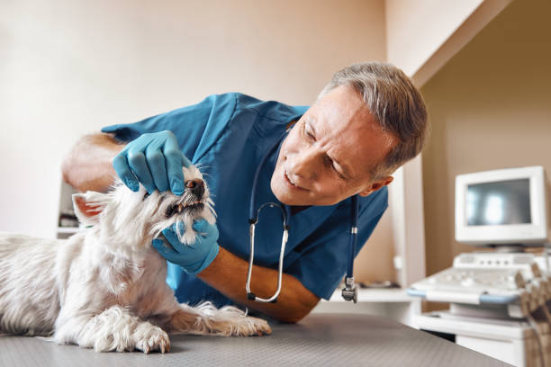 Best Emergency Tooth Extraction  in Bartonville, TX